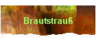 Brautstrau