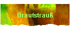 Brautstrau